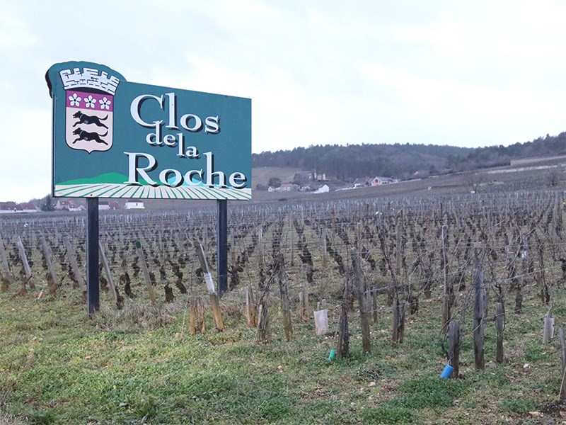 Clos de la Roche